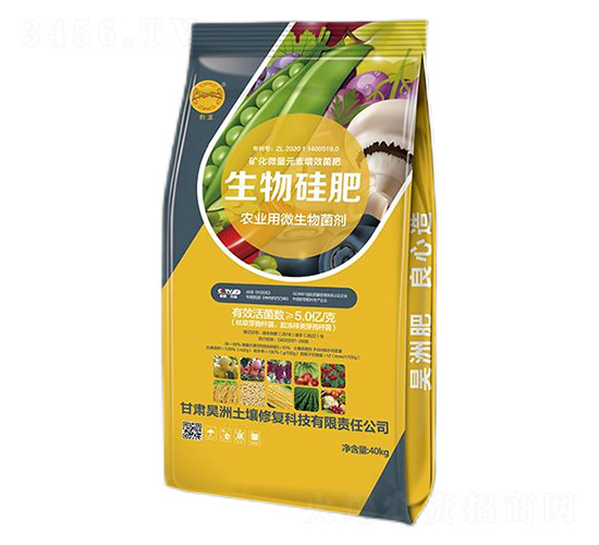 ������-��������ޏ�(f��)