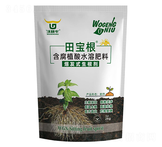 ���l(f��)ʽ������-���-�ָ�ţ