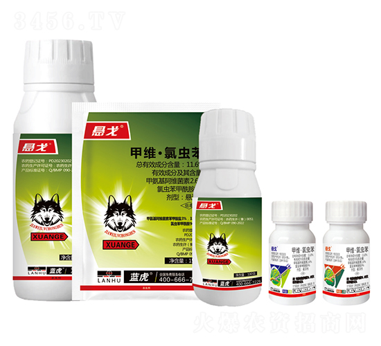 11.6%�׾S�����x���Ҹ���-�Ҹ�-�{(l��n)��-�¹چ̵�