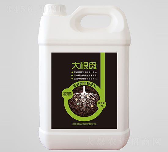 ����P��(f��)��΢�������-��������