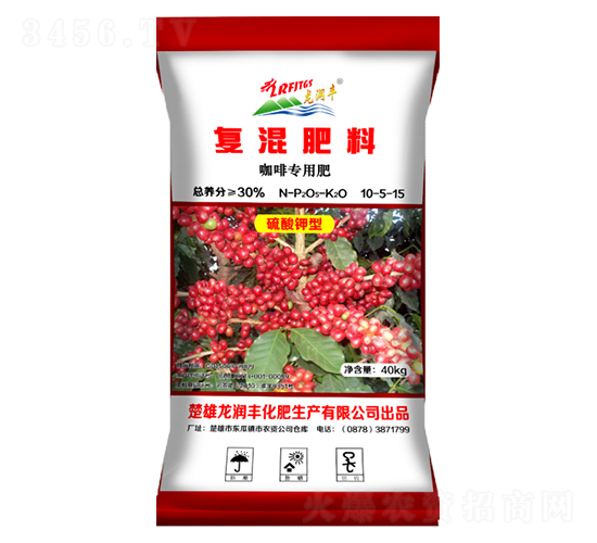 ���Ȍ��Ï�(f��)�����10-5-15-����(r��n)�S