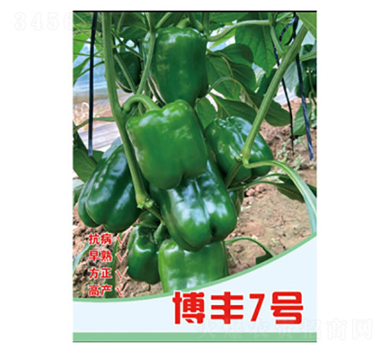 �����N��-���S7̖(h��o)-���S�r(n��ng)�I(y��)