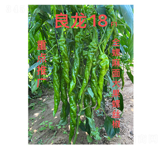 �����N��-����18-���S�r(n��ng)�I(y��)