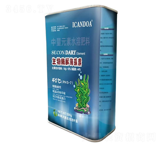 ����ø�⺣����-����