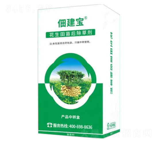 �����������݄�-�轨��-�Z�����r�I(y��)