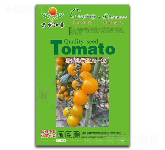 ����С����F1-16-���ѷN��-���J�tϲ