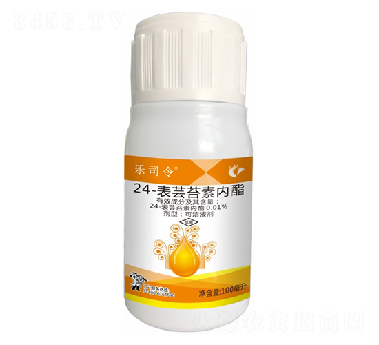 0.01%24-���|̦�؃�(n��i)��-��(l��)˾��-����¡����