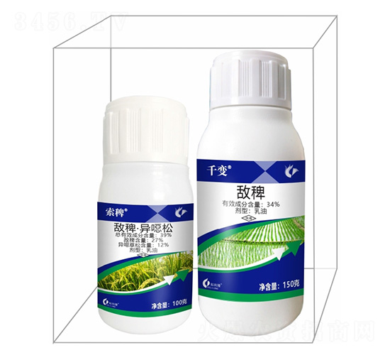 ���޽M���a���-����¡����