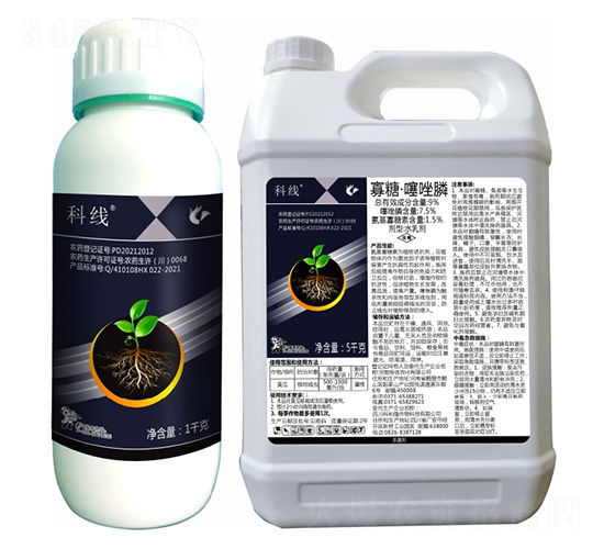 9%���ǡ������-�ƾ�-����¡����