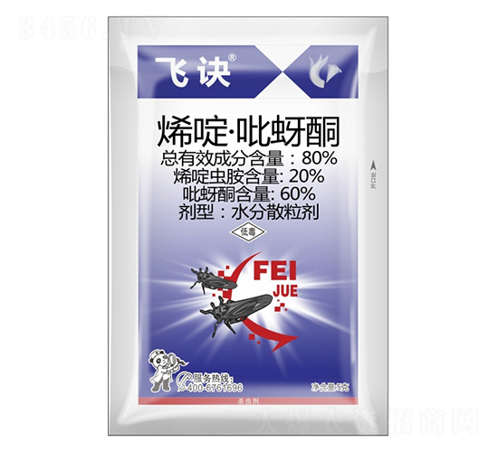 80%ϩड�����ͪ-�w�E-����¡����