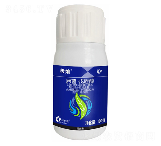 36%뿾�������-�O�N�������棩-����¡����