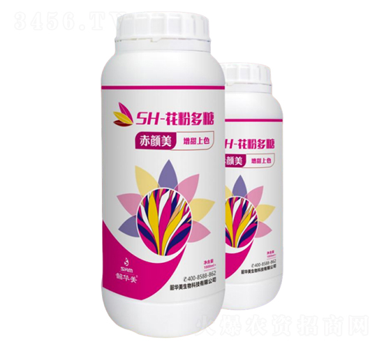 SH-���۶���-�����-���A��