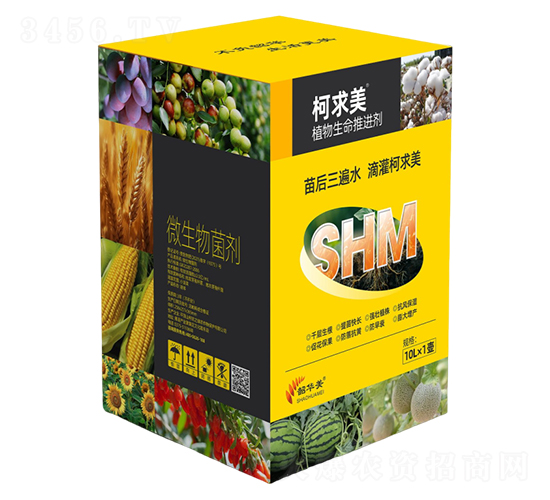 ֲ���������M��-������-���A��