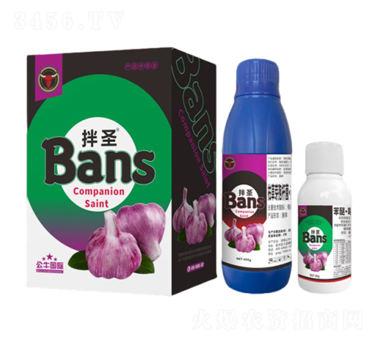 �����N����(j��)��H-��ʥ-��ţ��(gu��)�H