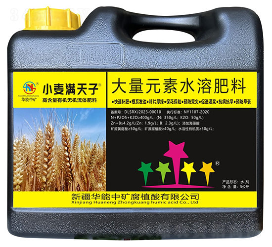 小麥滿天子-華能中礦