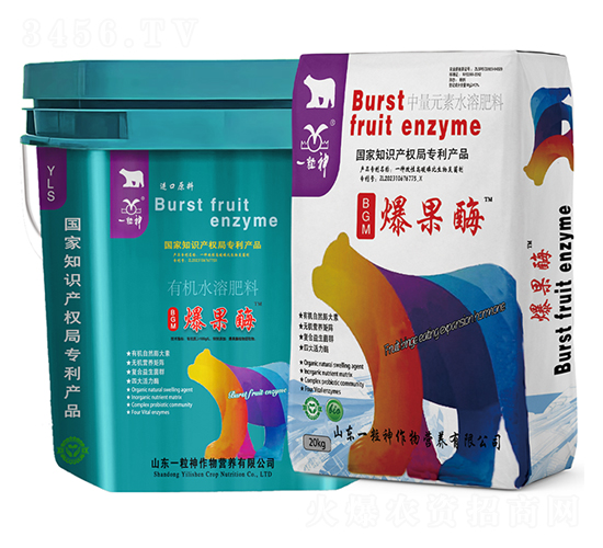 爆果酶-一粒神