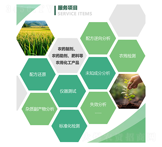 服務(wù)項(xiàng)目-新泊地