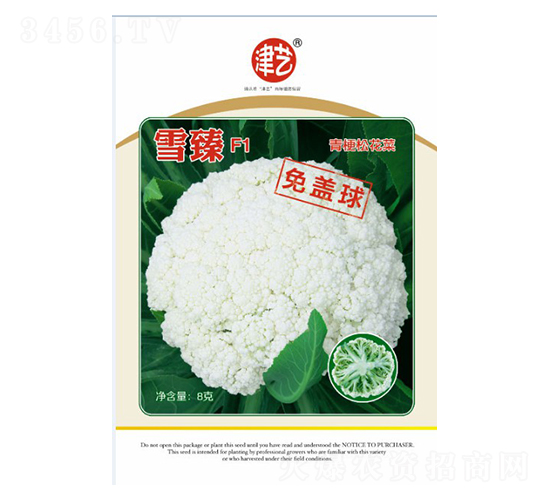 花菜種子-雪臻F1-邯豐農(nóng)業(yè)