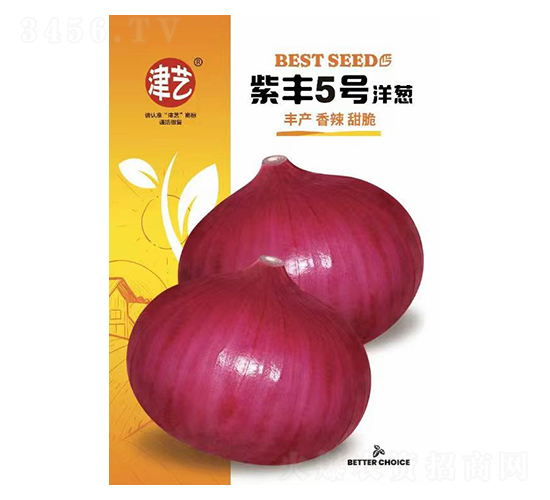 洋蔥種子-紫豐5號(hào)洋蔥-邯豐農(nóng)業(yè)