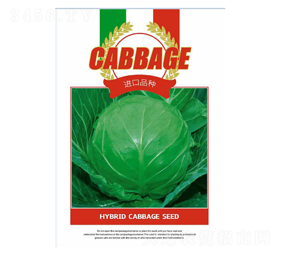 甘藍種子-進口品種-邯豐農(nóng)業(yè)