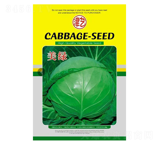 甘藍種子-美綠-邯豐農業(yè)