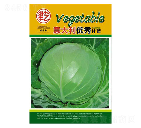 甘藍(lán)種子-邯豐農(nóng)業(yè)