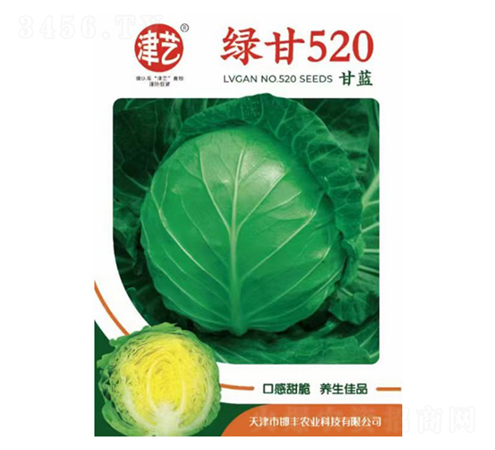 甘藍(lán)種子-綠甘520-邯豐農(nóng)業(yè)