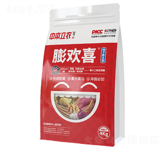 膨歡喜（地下膨大型）-中本立農(nóng)