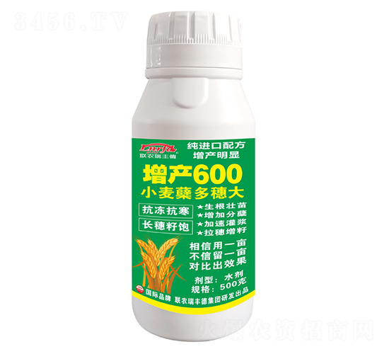 小麥蘗多穗大增產(chǎn)600-北美農(nóng)大