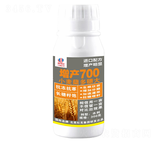 300g小麥蘗多穗大增產700-北美農大
