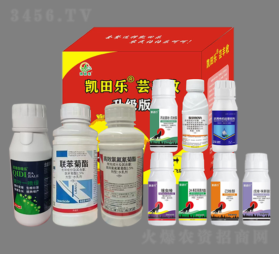 �|�S�գ�ʮ��һ��-�P�