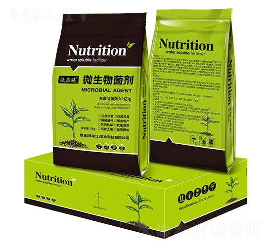 ΢�������-�֠�ʩ-ϧ��