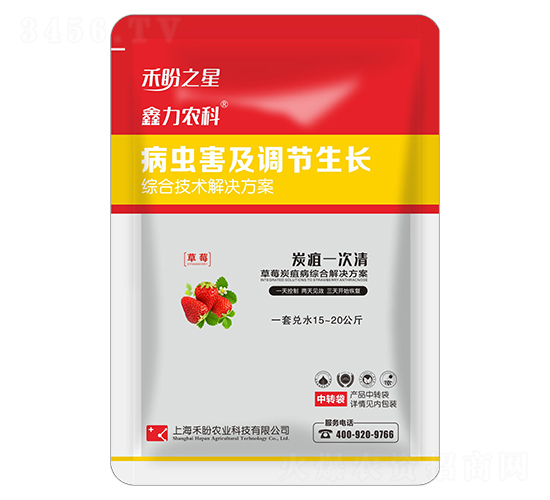 草莓炭疽病綜合技術(shù)方案-炭疽一次清-禾盼之星-禾盼農(nóng)業(yè)