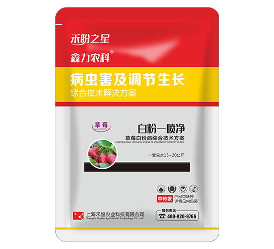 草莓白粉病綜合技術(shù)方案-白粉一次清-禾盼之星-禾盼農(nóng)業(yè)