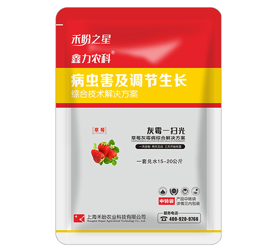 草莓灰霉病綜合技術方案-灰霉一掃光-禾盼之星-禾盼農業(yè)