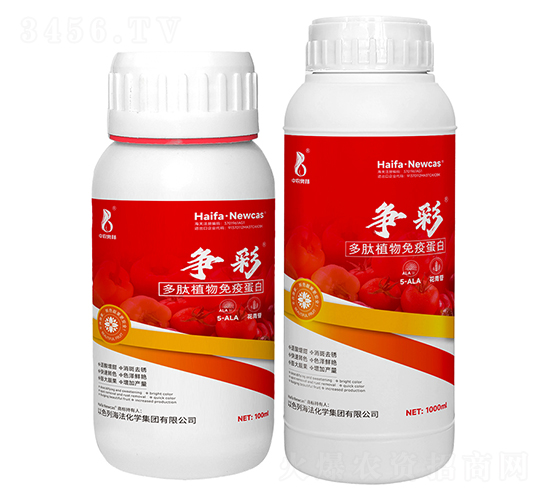 ����ֲ�����ߵ���-����-���r(n��ng)�W��