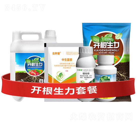 �_�������ײ͢�-�_������-�ƴ�Ƽ�