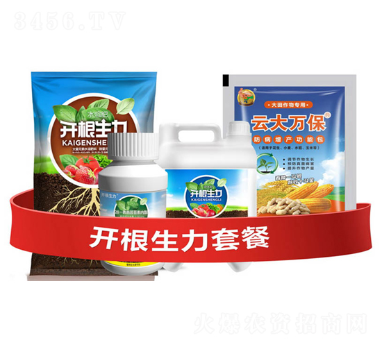 �_�������ײ�A-�ƴ�Ƽ�