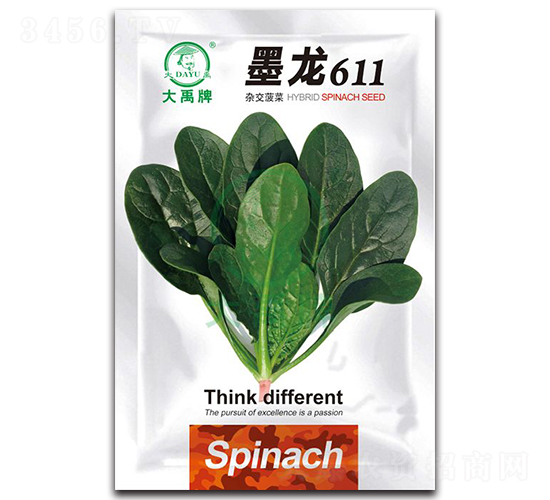 墨龍611菠菜種子-大禹種業(yè)