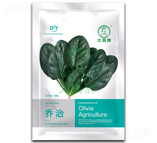 喬治菠菜種子-大禹種業(yè)