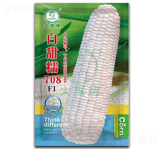 白甜糯708玉米種子-大禹種業(yè)