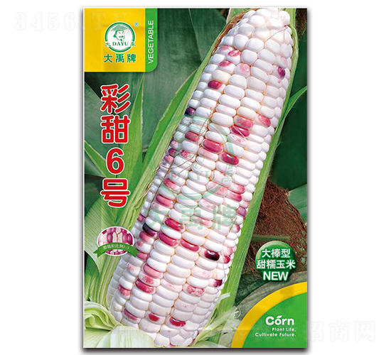 ����6̖(h��o)���׷N��-�����N�I(y��)