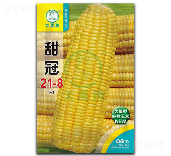 甜冠21-8玉米種子-大禹種業(yè)