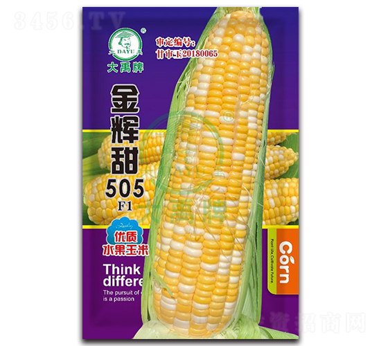 金輝甜505玉米種子-大禹種業(yè)