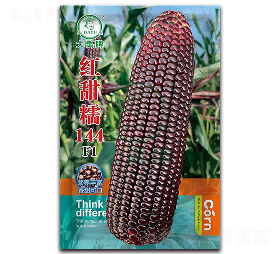 紅甜糯144玉米種子-大禹種業(yè)