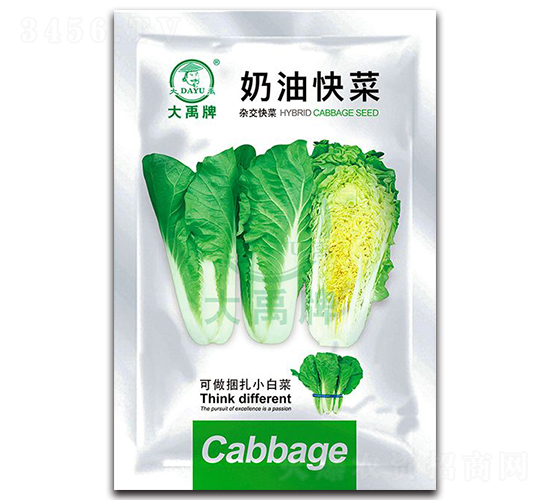 奶油快菜小白菜種子-大禹種業(yè)