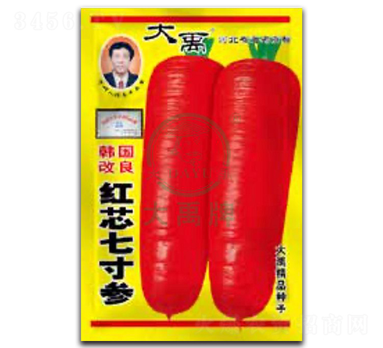 紅芯七寸參胡蘿卜種子-大禹種業(yè)