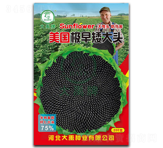 �����O�簫���^-�Ϳ��N��-�����N�I(y��)