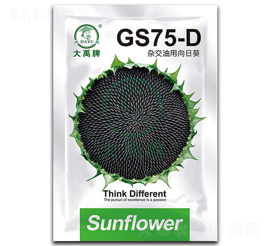 GS75-D-�Ϳ��N��-�����N�I(y��)