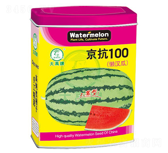 京抗100西瓜種子-大禹種業(yè)